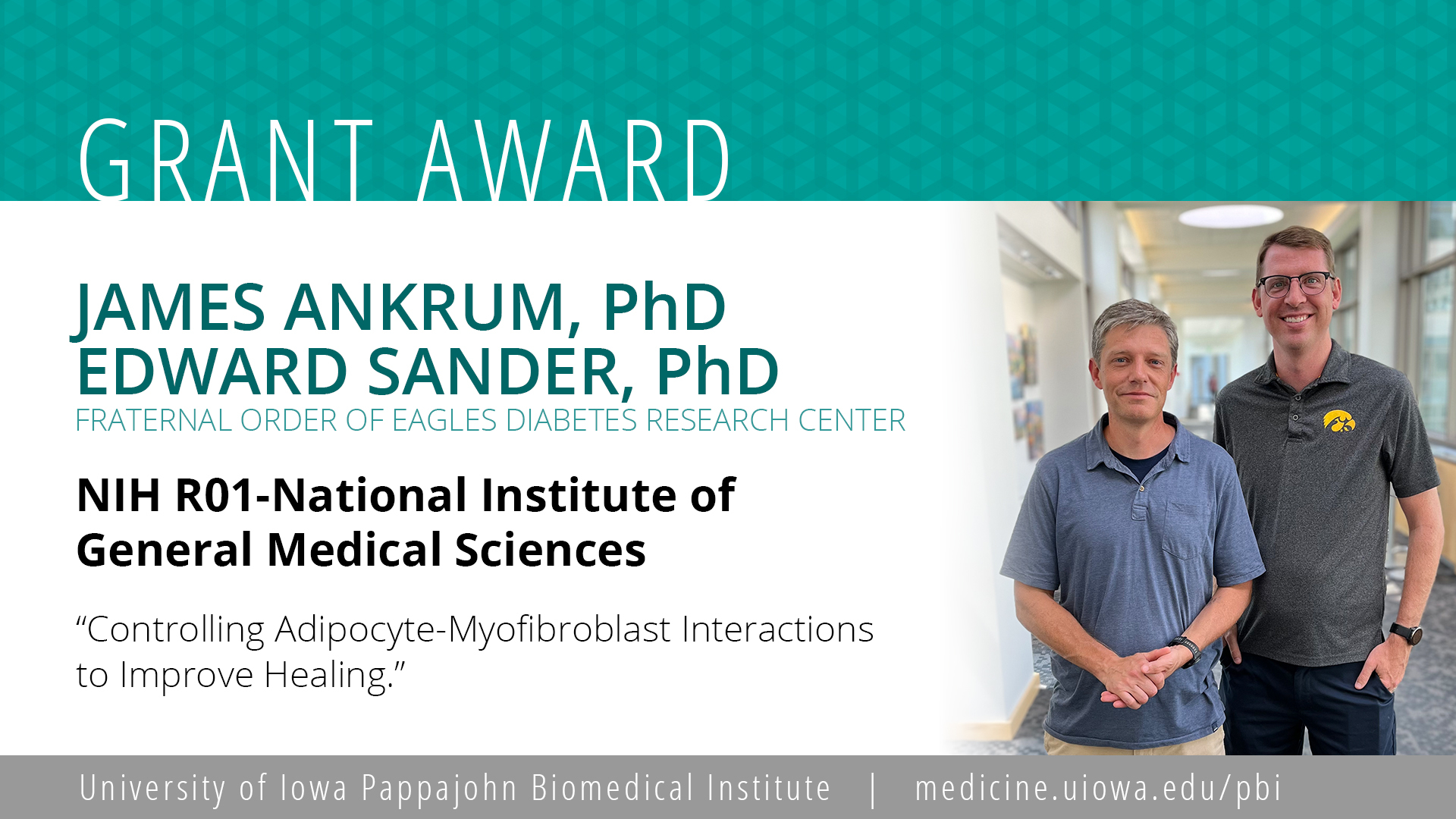 Ankrum and Sander grant award: Controlling adipocyte-myofibroblast interactions to improve healing