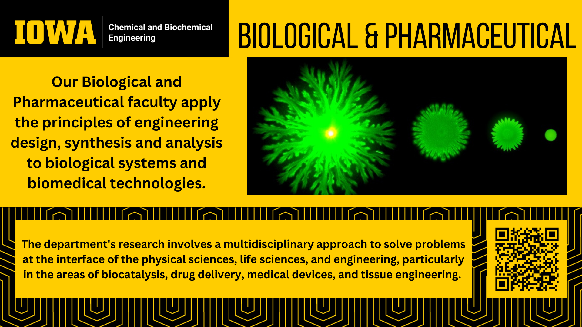 Biological & Pharmaceutical (Research Area Highlight)