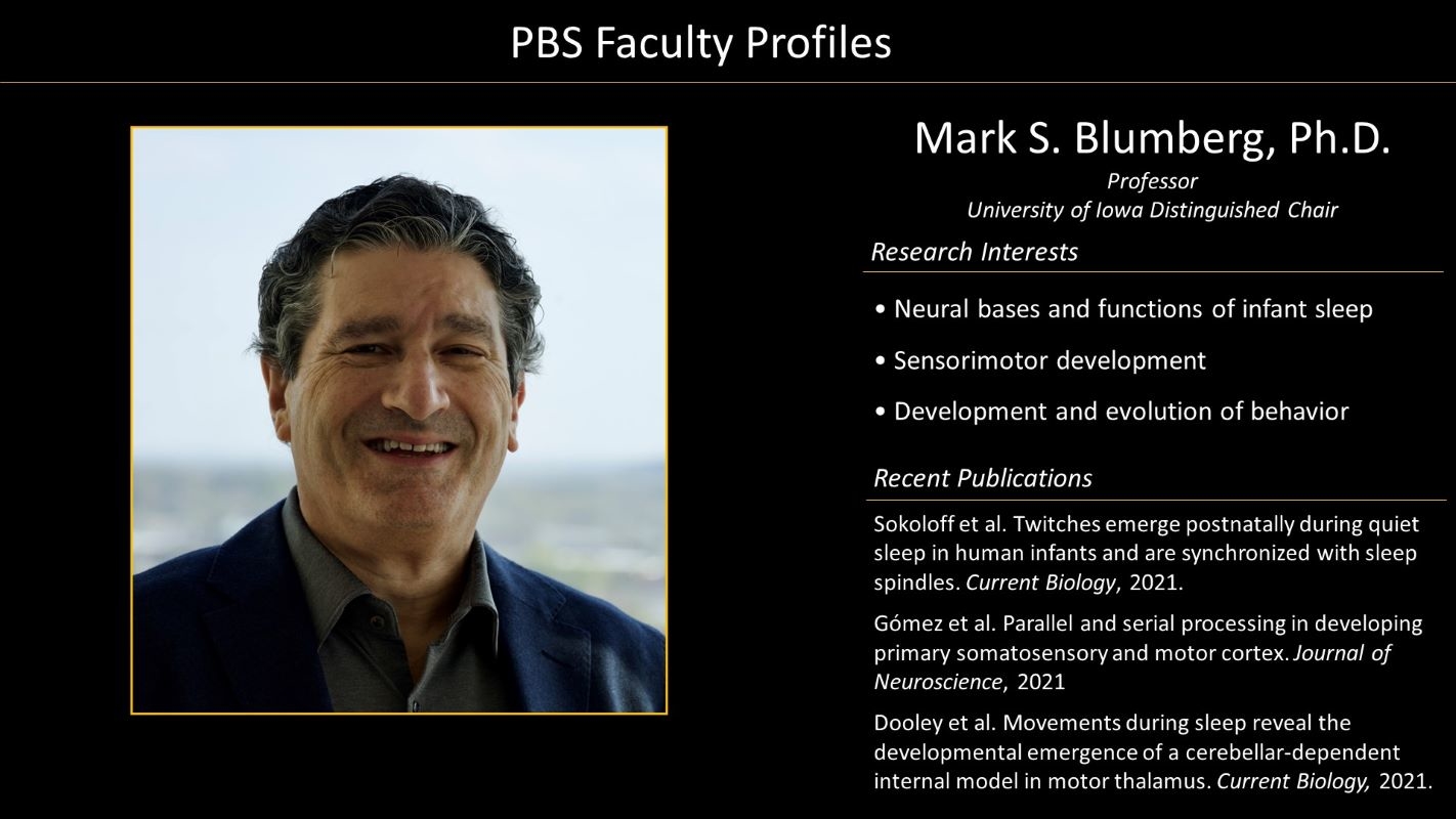 Professor Mark Blumberg Faculty Profile and Photo