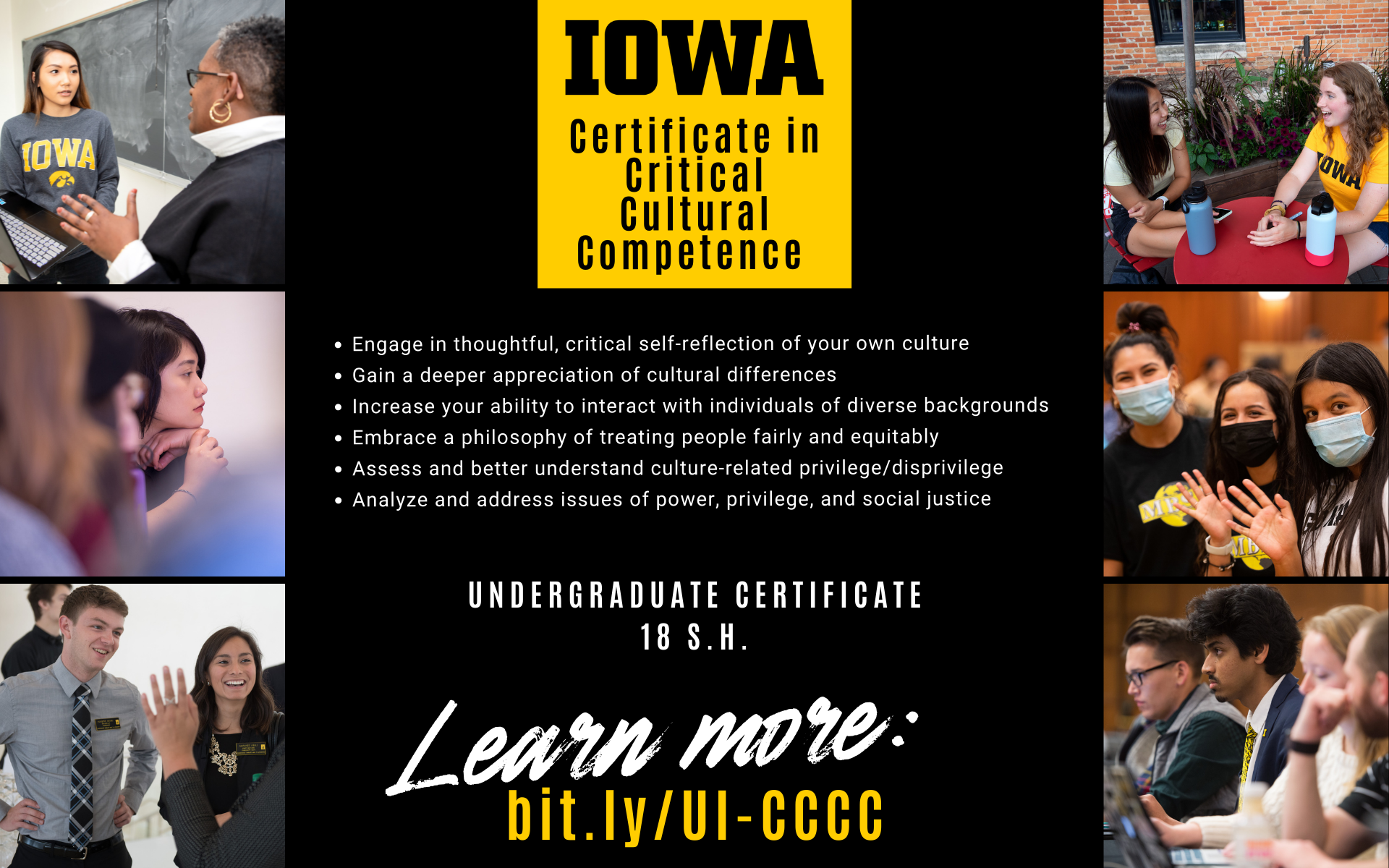 certificate in critical cultural competence bit.ly/UI-CCCC