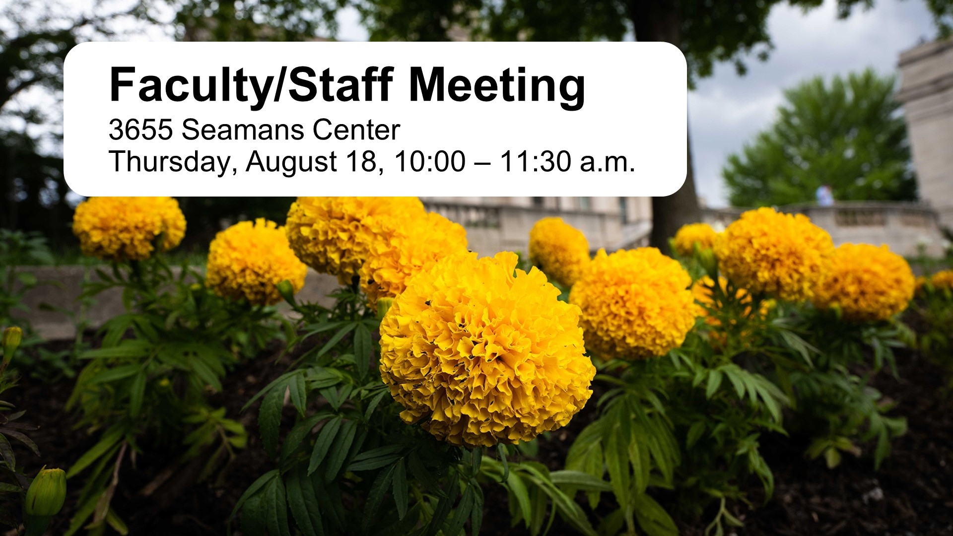 Faculty/Staff Meeting. 3655 Seamans Center, 08.18, 10-11:30a