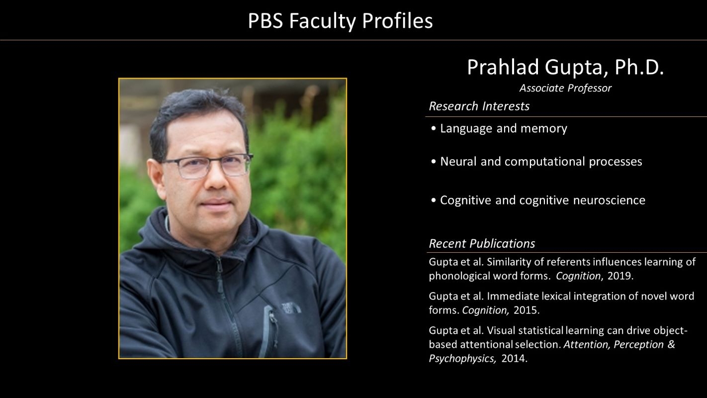 Professor Prahlad Gupta Faculty Profile and Photo
