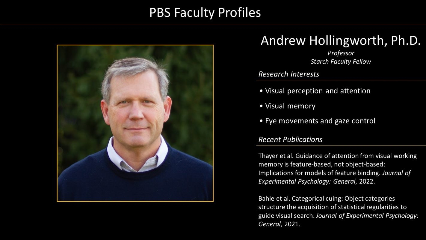 Professor Andrew Hollingworth Profile with photo