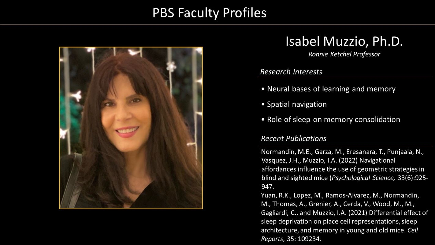 Professor Isabel Muzzio Faculty Profile and Photo