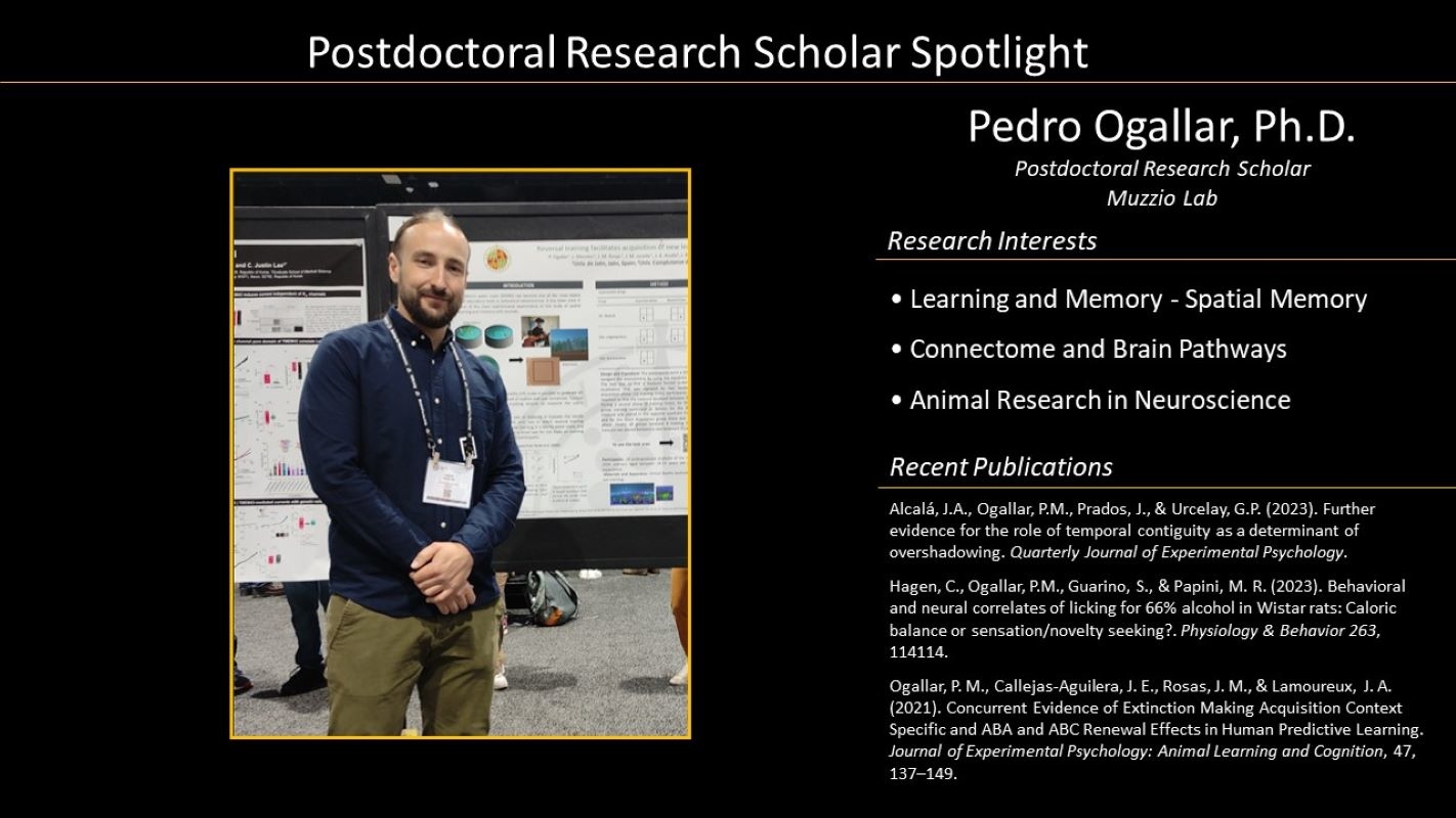 Postdoctoral Research Scholar Profile with Photo
