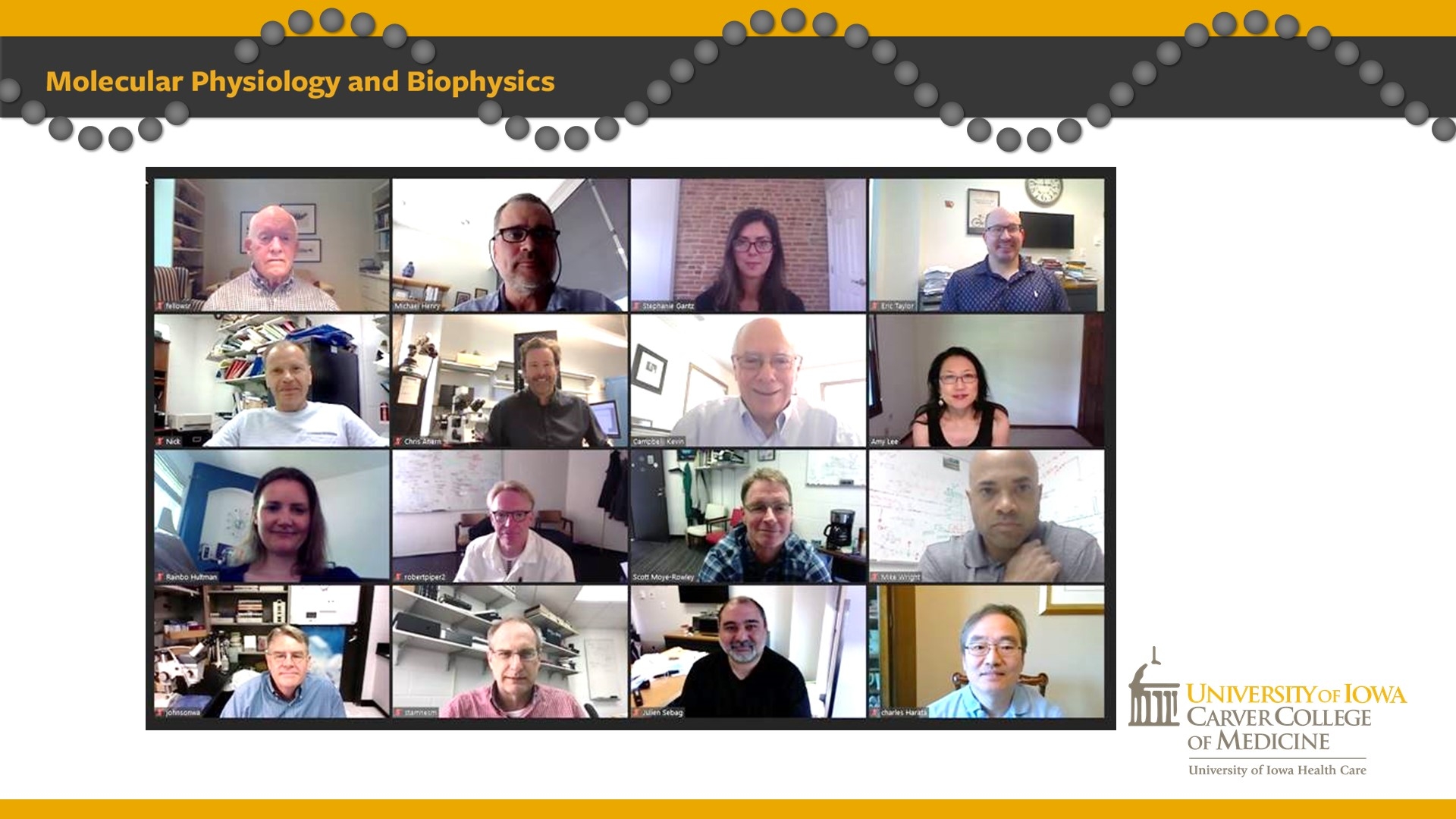 Physiology Faculty on Zoom
