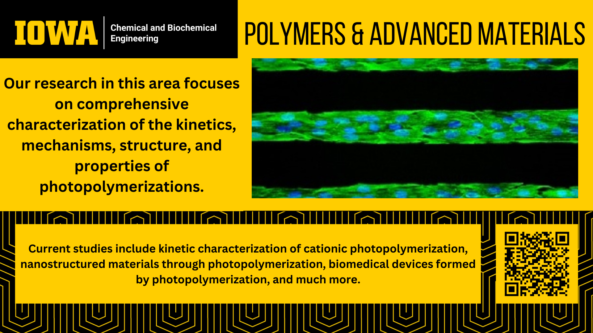 Polymers & Advanced Material (Research Area Highlight)