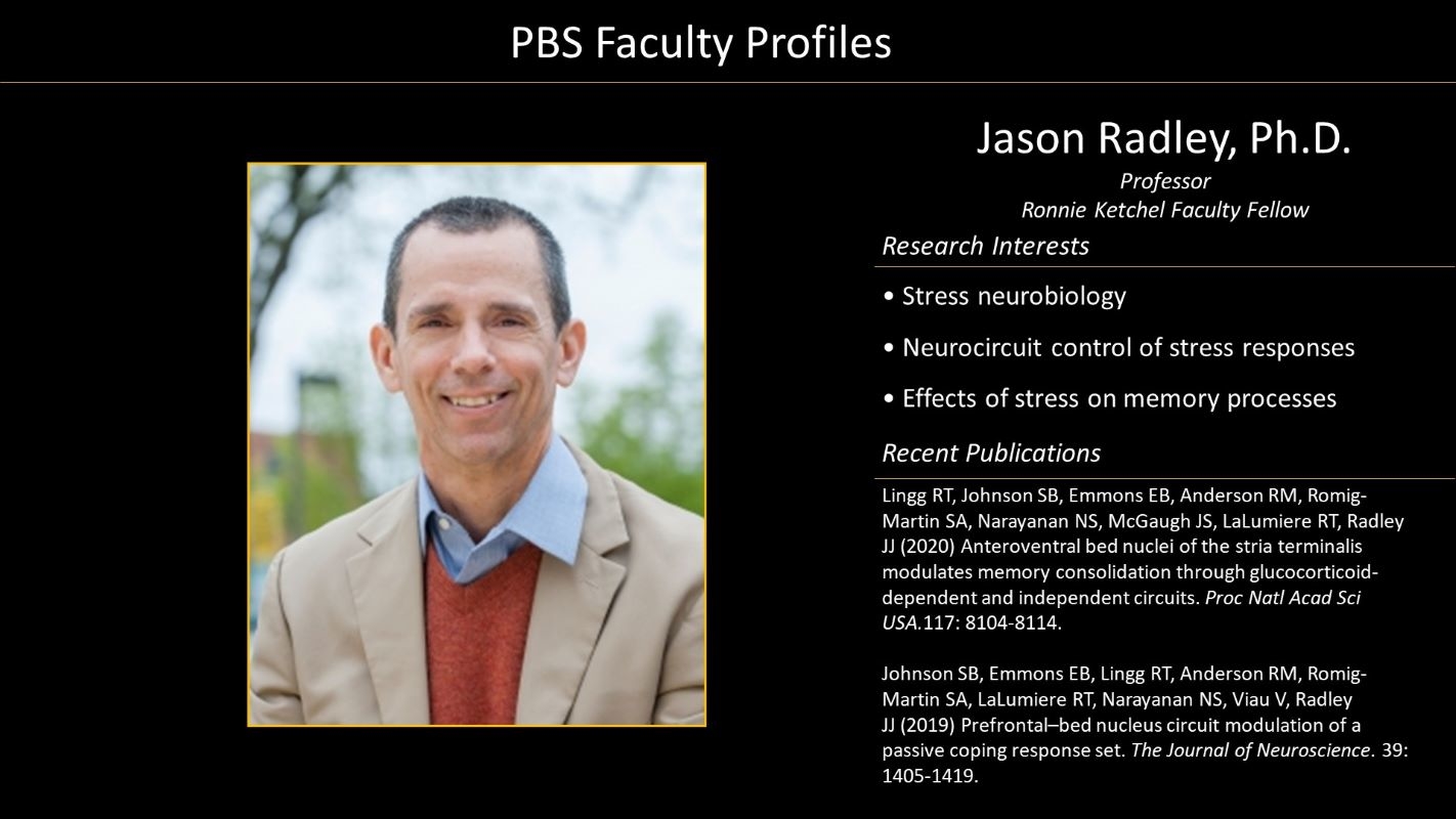 Professor Jason Radley Profile with Photo