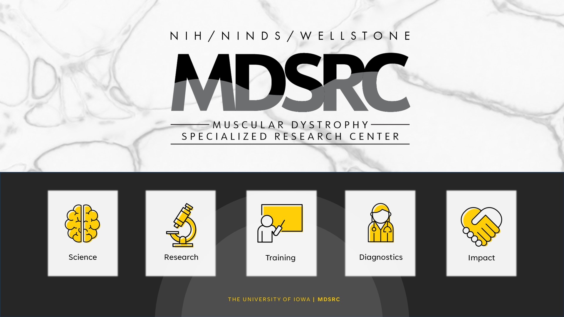 Introduction to Wellstone Muscular Dystrophy Specialized Research Center (MDSRC)