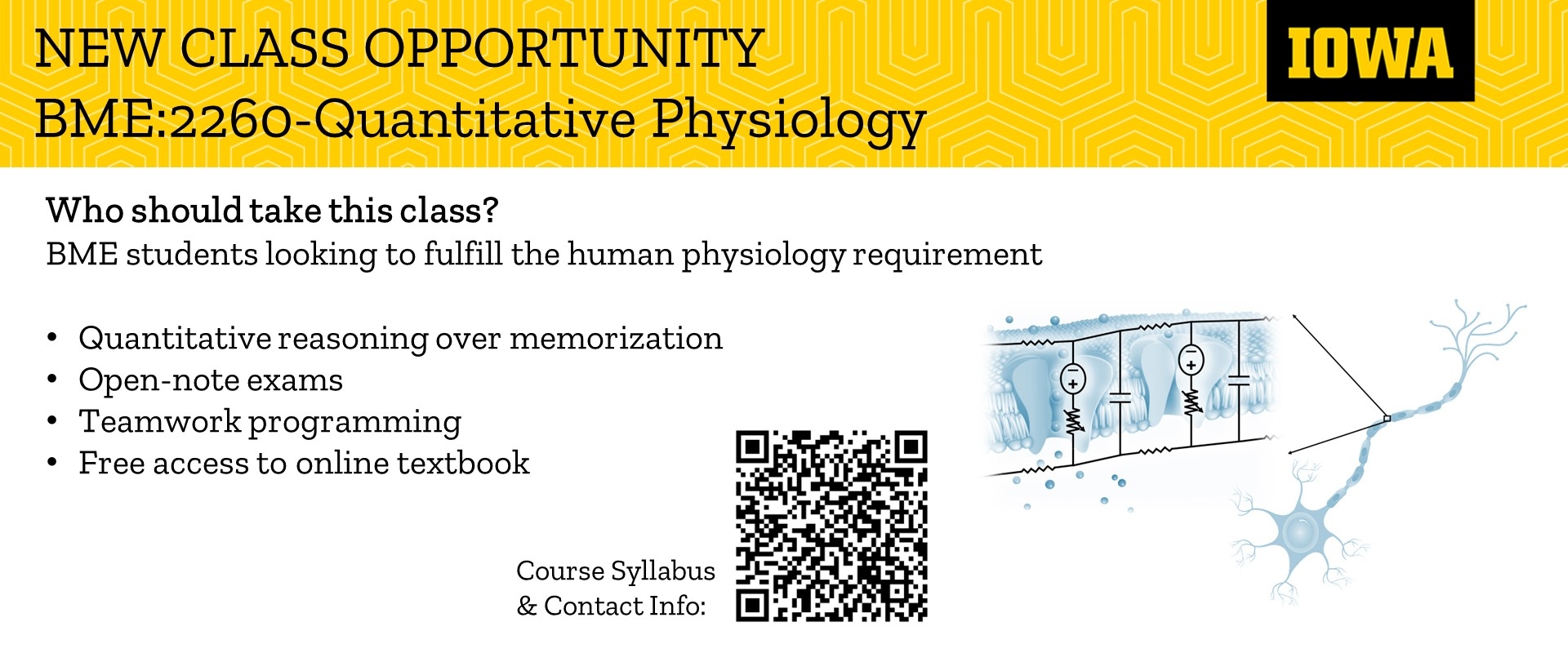 New Class Opportunity: BME:2260 Quantitative Physiology