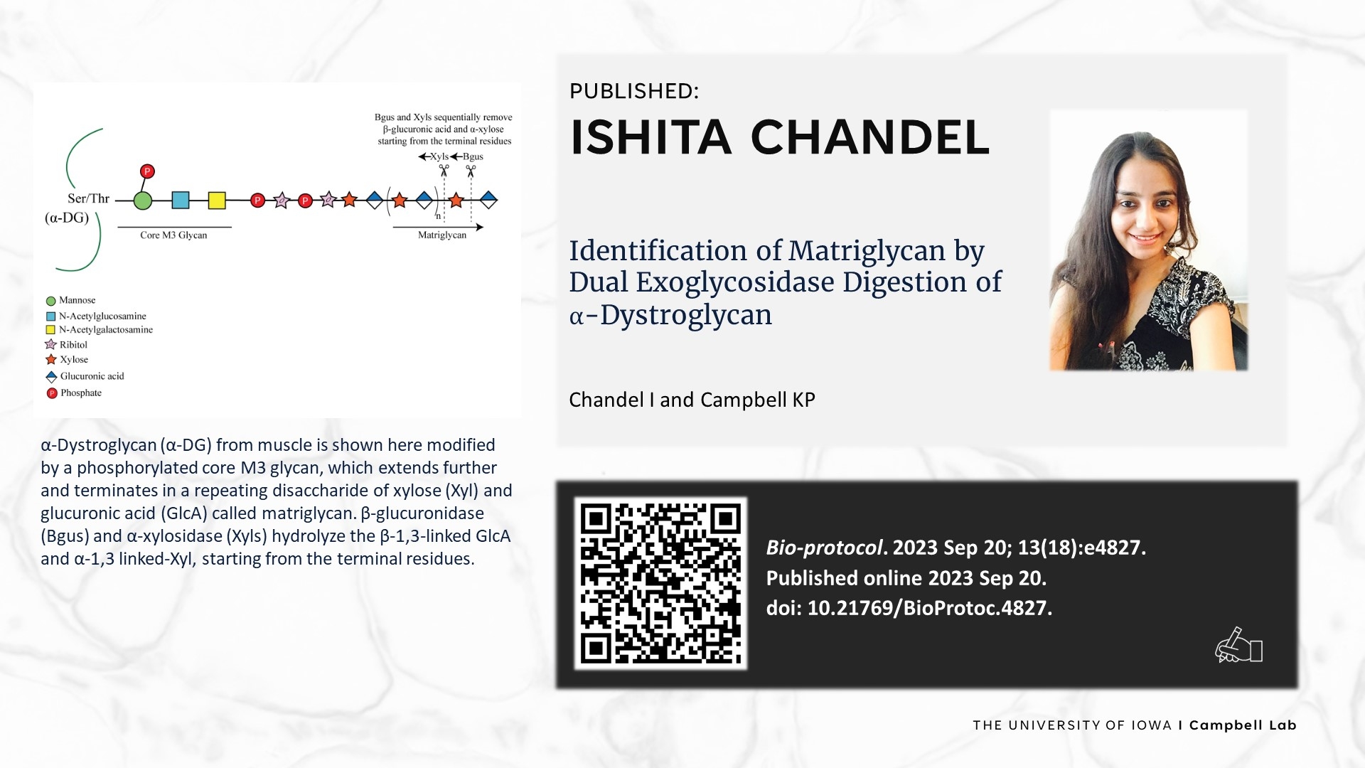 Chandel Publication