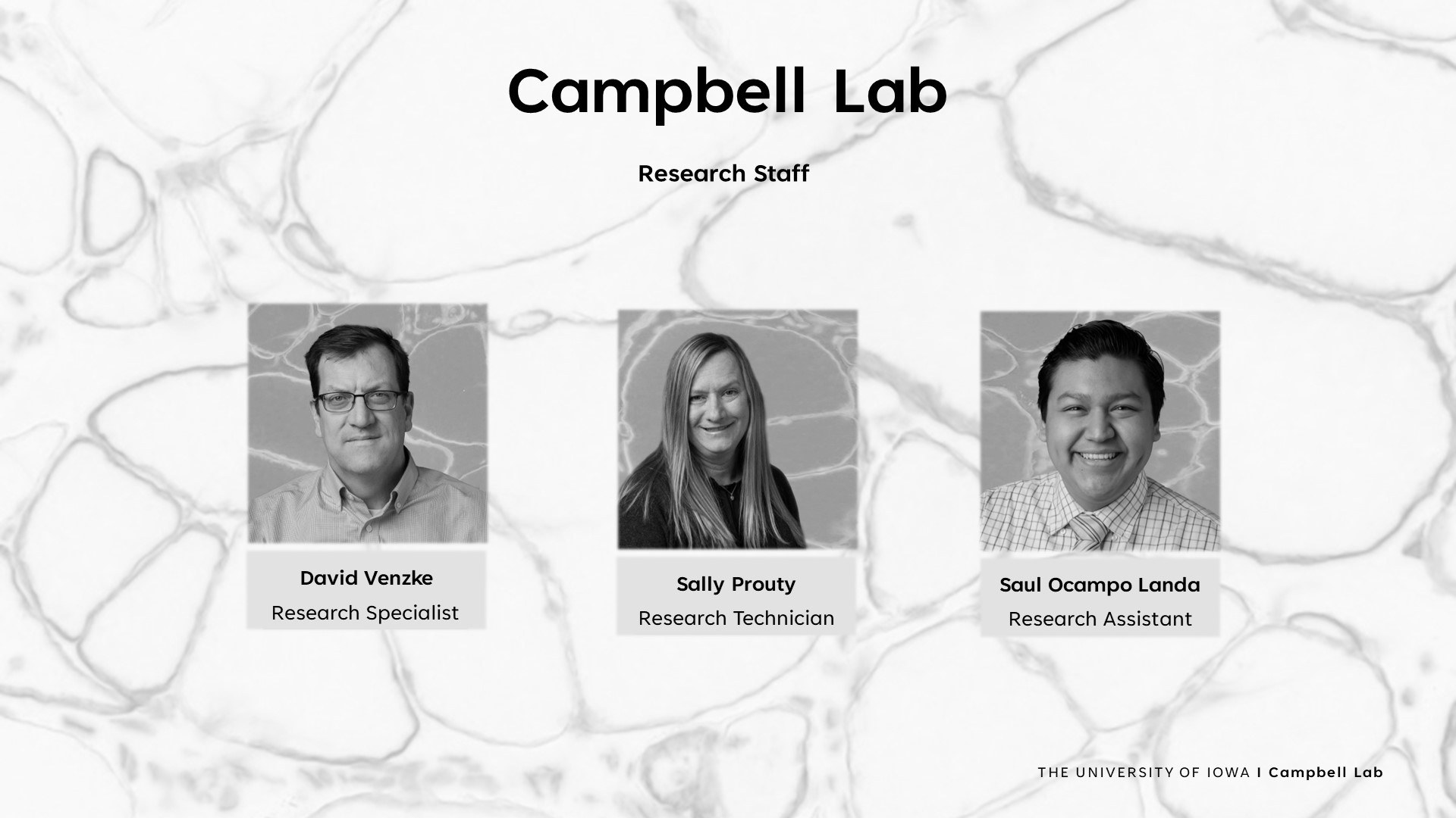Photos of Campbell Lab Research Staff
