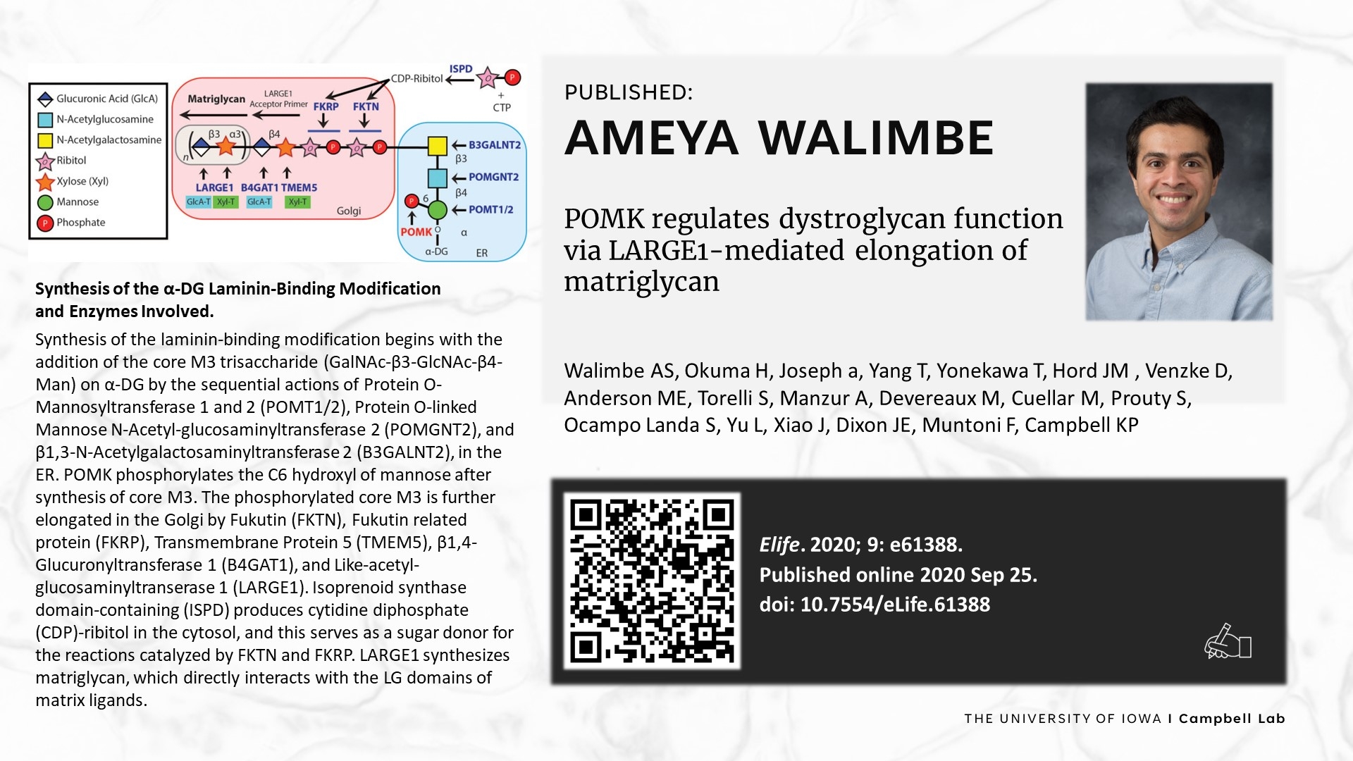 Walimbe Publication