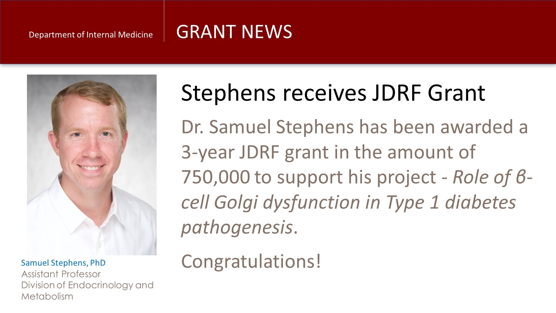 JDRF Funding Stephens
