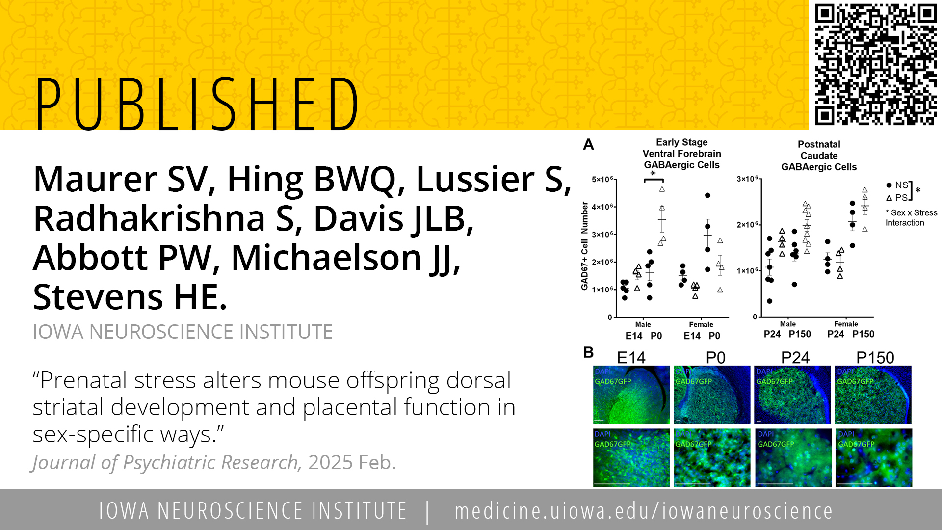 Stevens: Journal of Psychiatric Research, Feb 2025