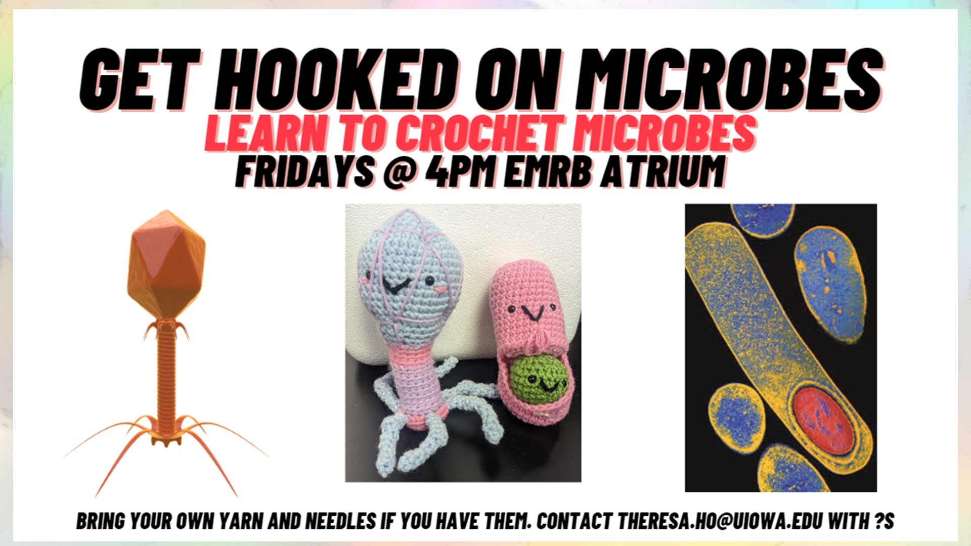 Crochet Microbes on Fridays during the summer 2023