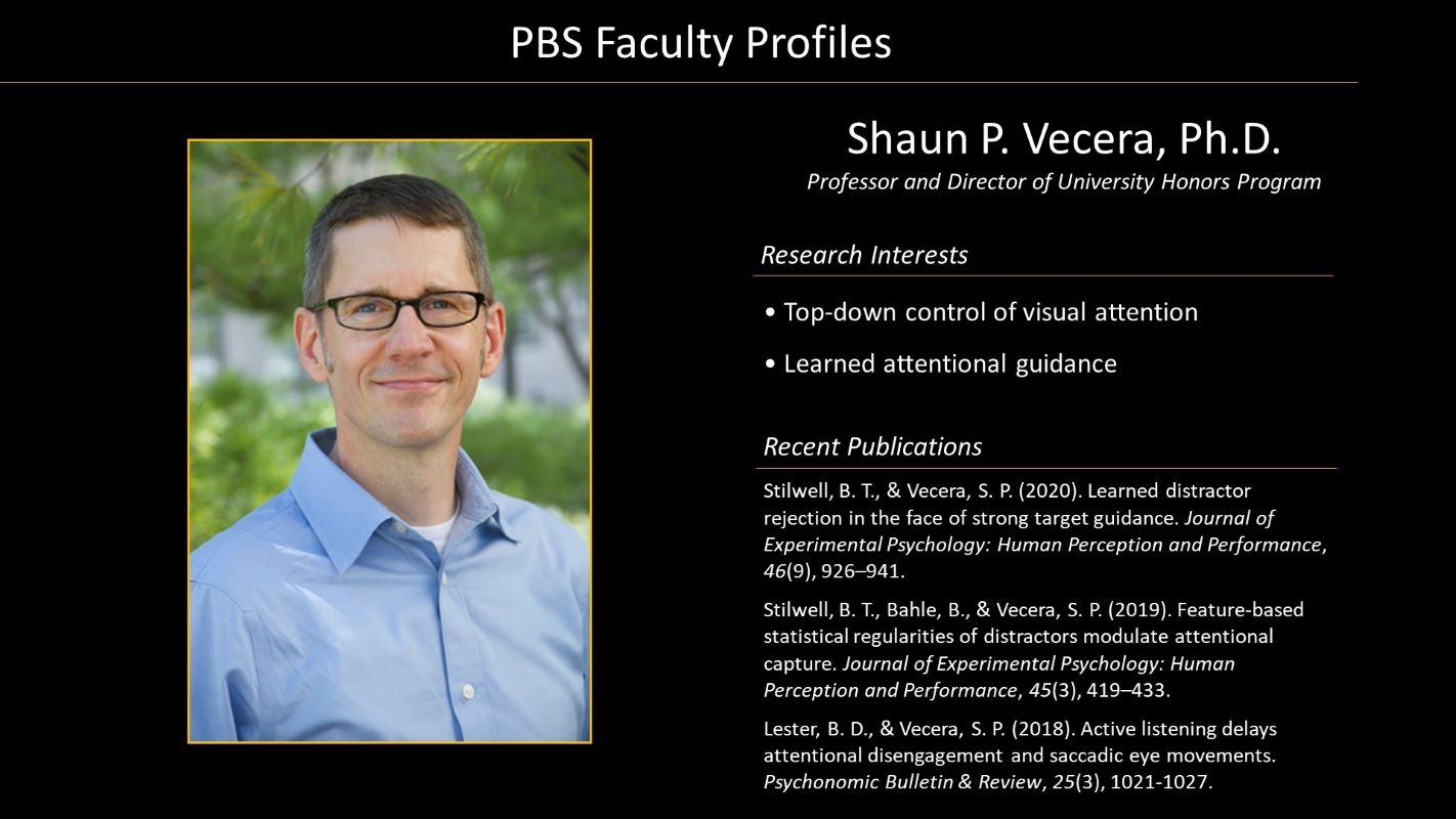 Professor Shaun Vecera Faculty Profile and Photo
