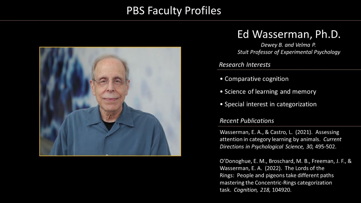Professor Ed Wasserman Profile with Photo
